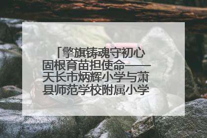 擎旗铸魂守初心 固根育苗担使命——天长市炳辉小学与萧县师范学校附属小学结对共建活动纪实