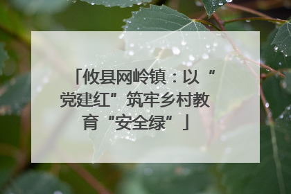 攸县网岭镇：以“党建红”筑牢乡村教育“安全绿”