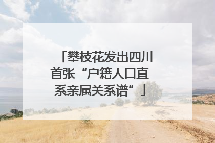 攀枝花发出四川首张“户籍人口直系亲属关系谱”