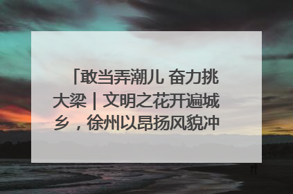 敢当弄潮儿 奋力挑大梁｜文明之花开遍城乡，徐州以昂扬风貌冲刺“万亿之城”