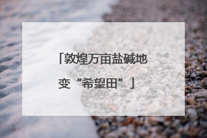 敦煌万亩盐碱地变“希望田”