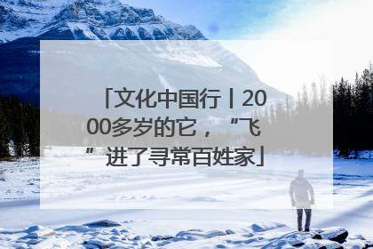 文化中国行丨2000多岁的它，“飞”进了寻常百姓家