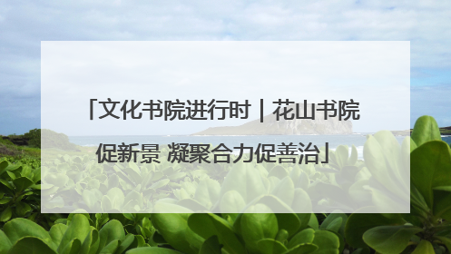 文化书院进行时｜花山书院促新景 凝聚合力促善治