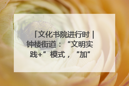 文化书院进行时｜钟楼街道：“文明实践+”模式，“加”出百姓幸福感