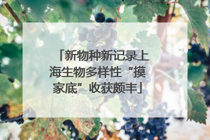 新物种新记录上海生物多样性“摸家底”收获颇丰