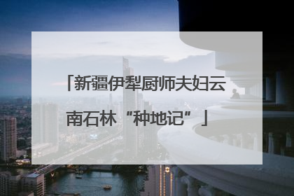 新疆伊犁厨师夫妇云南石林“种地记”