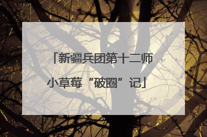 新疆兵团第十二师小草莓“破圈”记