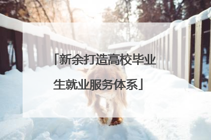 新余打造高校毕业生就业服务体系