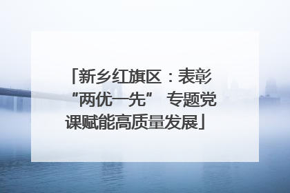 新乡红旗区：表彰 “两优一先” 专题党课赋能高质量发展