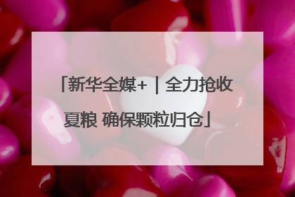 新华全媒+｜全力抢收夏粮 确保颗粒归仓