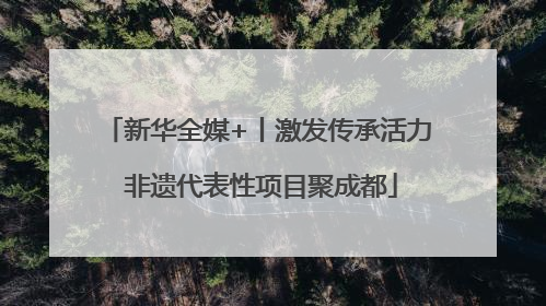 新华全媒+丨激发传承活力 非遗代表性项目聚成都