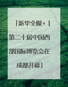 新华全媒+丨第二十届中国西部国际博览会在成都开幕