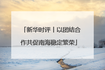 新华时评丨以团结合作共促南海稳定繁荣