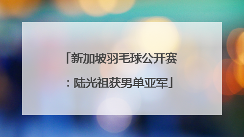 新加坡羽毛球公开赛：陆光祖获男单亚军