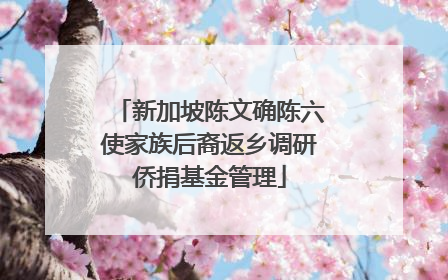 新加坡陈文确陈六使家族后裔返乡调研侨捐基金管理