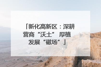 新化高新区：深耕营商“沃土” 厚植发展“磁场”