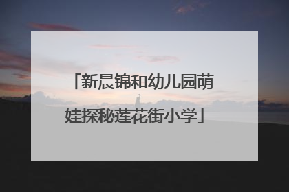 新晨锦和幼儿园萌娃探秘莲花街小学
