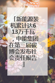 新能源装机累计达613万千瓦，申能集团在第三届碳博会发布社会责任报告