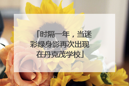 时隔一年，当迷彩绿身影再次出现在丹克茂学校