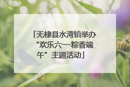 无棣县水湾镇举办“欢乐六一·粽香端午”主题活动