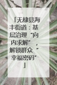无棣县海丰街道：基层治理“向内求解”，解锁群众“幸福密码”