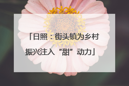 日照：街头镇为乡村振兴注入“甜”动力