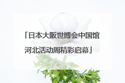 日本大阪世博会中国馆河北活动周精彩启幕