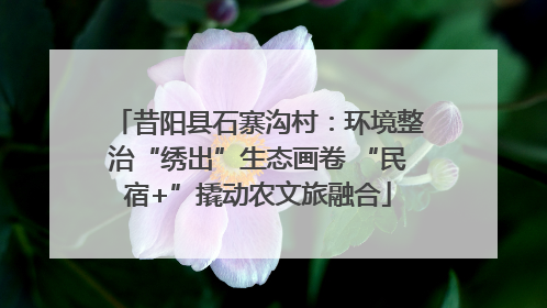 昔阳县石寨沟村：环境整治“绣出”生态画卷 “民宿+”撬动农文旅融合