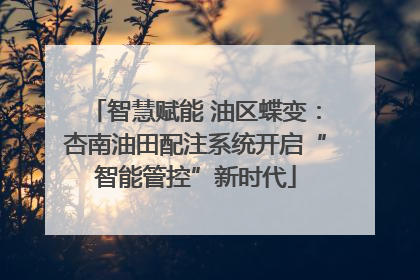 智慧赋能 油区蝶变：杏南油田配注系统开启“智能管控”新时代