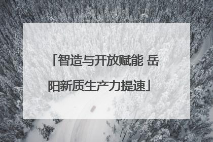 智造与开放赋能 岳阳新质生产力提速