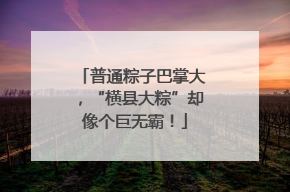 普通粽子巴掌大，“横县大粽”却像个巨无霸！