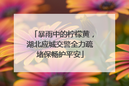 暴雨中的柠檬黄，湖北应城交警全力疏堵保畅护平安