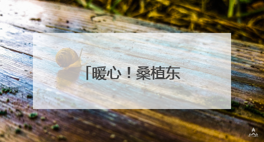 暖心！桑植东收费站助迷途老人平安回家