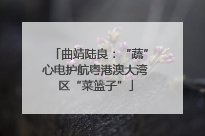 曲靖陆良：“蔬”心电护航粤港澳大湾区“菜篮子”