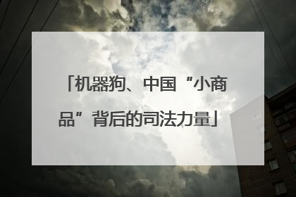 机器狗、中国“小商品”背后的司法力量