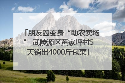 朋友圈变身“助农卖场” 武陵源区黄家坪村5天销出4000斤包菜