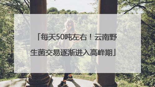 每天50吨左右！云南野生菌交易逐渐进入高峰期