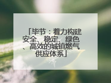毕节：着力构建安全、稳定、绿色、高效的城镇燃气供应体系