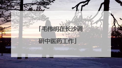 毛伟明在长沙调研中医药工作