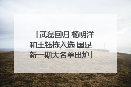 武磊回归 杨明洋和王钰栋入选 国足新一期大名单出炉