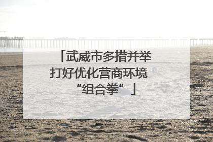 武威市多措并举打好优化营商环境“组合拳”