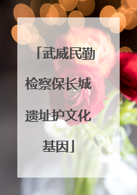 武威民勤检察保长城遗址护文化基因