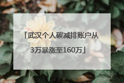 武汉个人碳减排账户从3万暴涨至160万