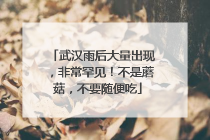 武汉雨后大量出现，非常罕见！不是蘑菇，不要随便吃