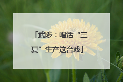 武陟：唱活“三夏”生产这台戏