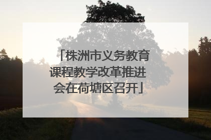 株洲市义务教育课程教学改革推进会在荷塘区召开