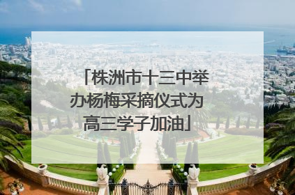 株洲市十三中举办杨梅采摘仪式为高三学子加油