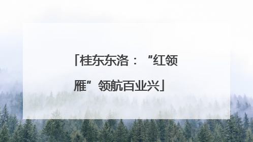 桂东东洛：“红领雁”领航百业兴