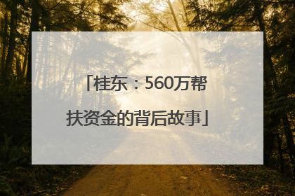 桂东：560万帮扶资金的背后故事