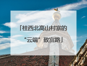 桂西北高山村寨的“云端”致富路